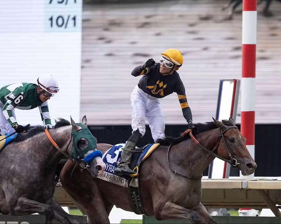 Haskell Stakes 2026_