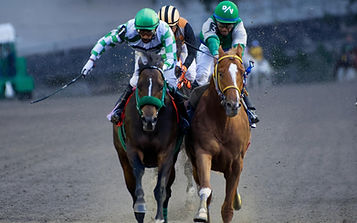 Lodyto Race 3 Derby Mexicano.jpg