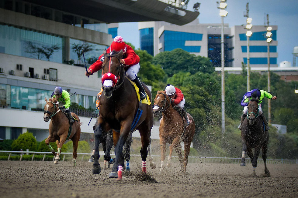 MONSIEUR COCO gana el Clásico Día del Charro
