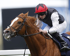 kyprios-horseracing_6720677.jpg