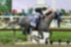 Napoleo Solo preakness-ww-