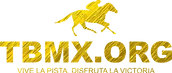 Logo2026 dorado con frase.png