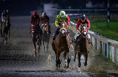 Bucefalus Asquifar 1.jpg