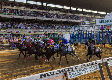 BELMON stakes.jpg