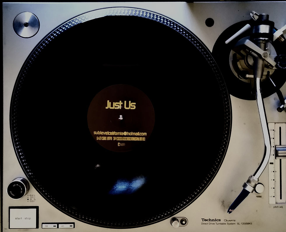 Thumbnail: Sublevel JUST US vinyl