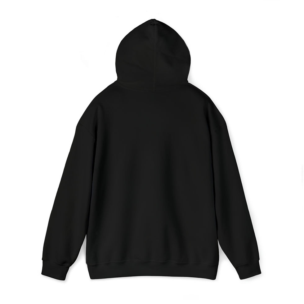 Thumbnail: Adult 'Definition' Hoodie