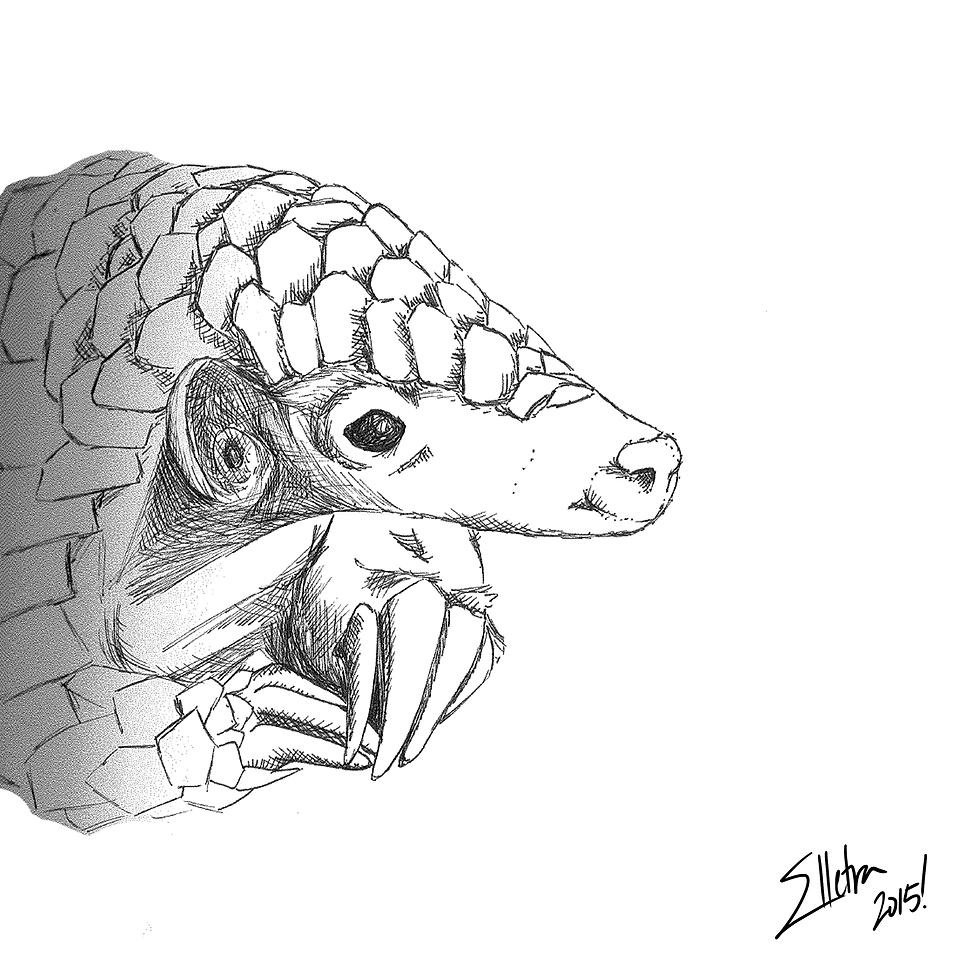 Day 29