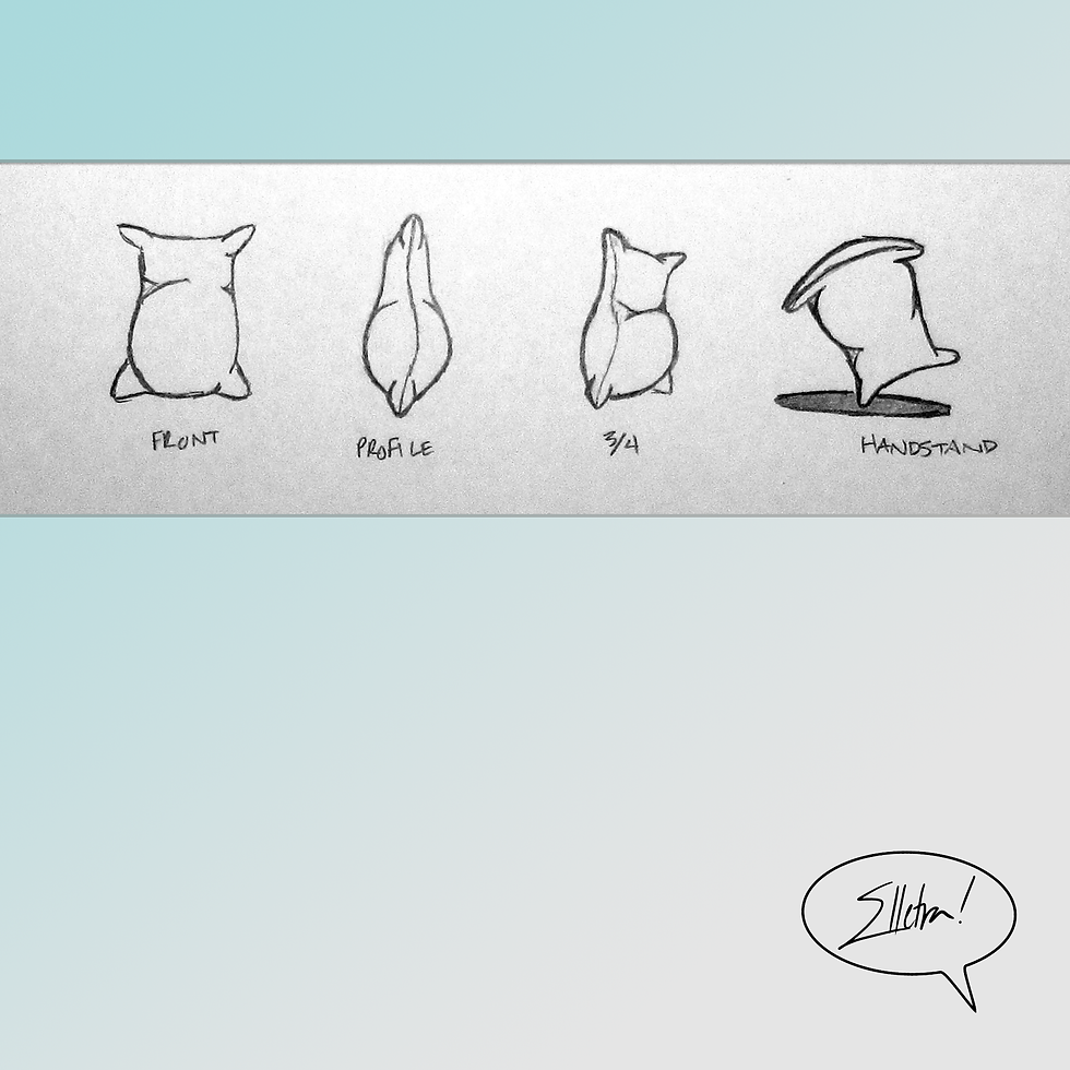 flour sack turnaround, 2014