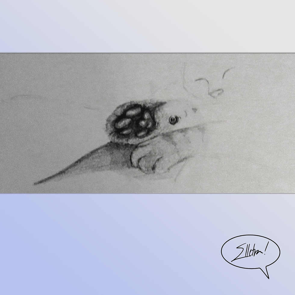 pencil sketch, 2014