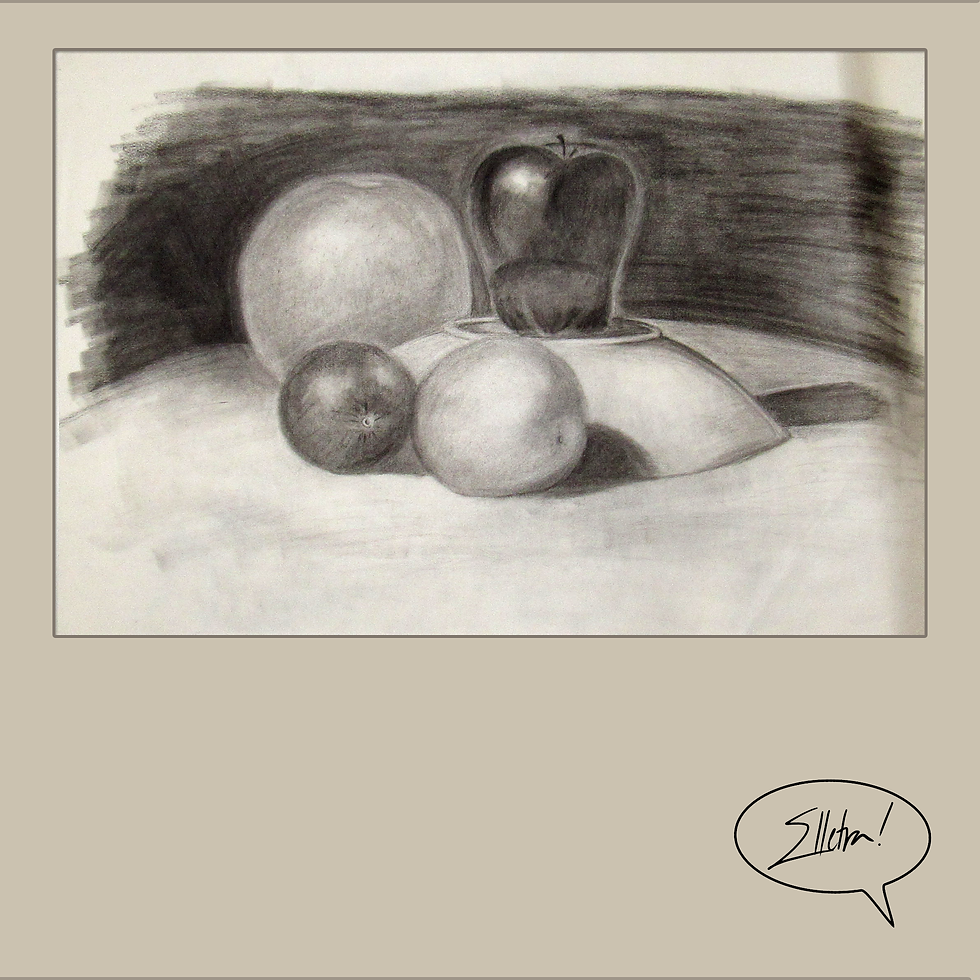 still life, charcoal, 2013