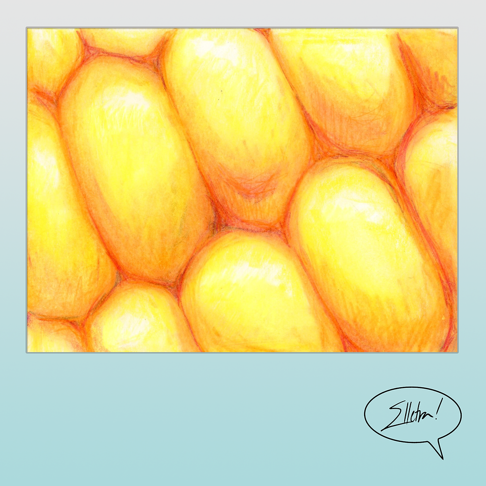 corn, colored pencil, 2013