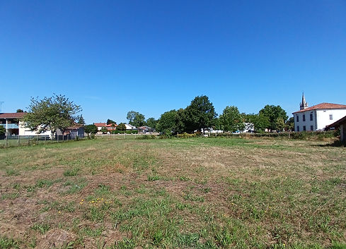 20240625_104646 (1).jpg