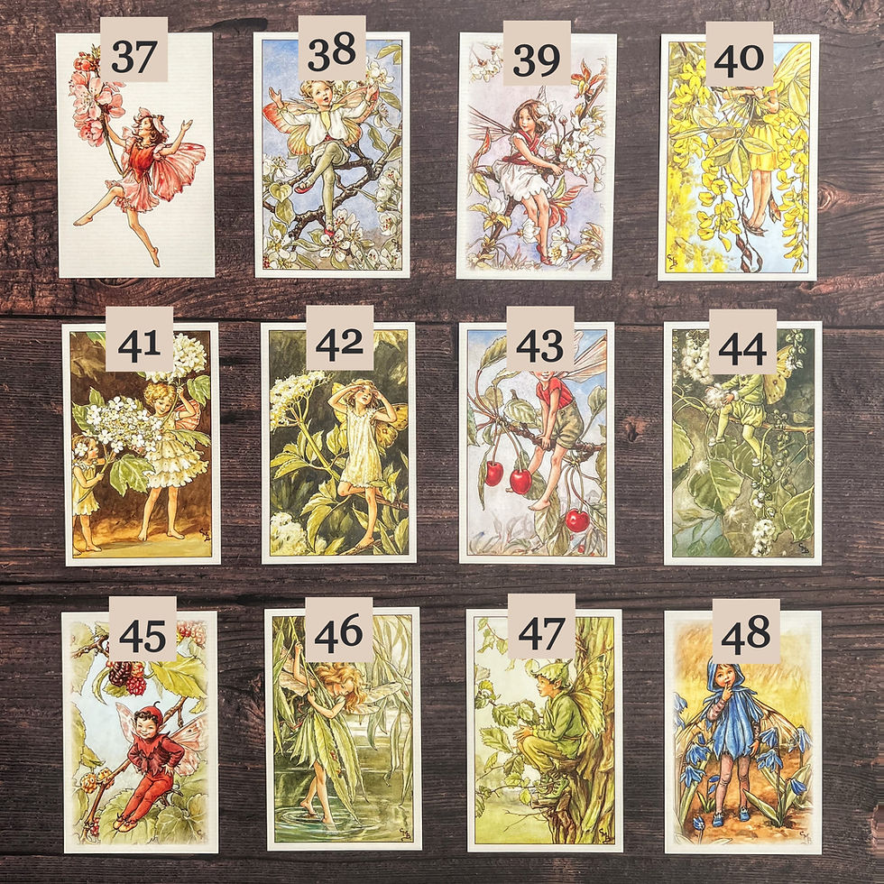 Thumbnail: Flower Fairies Postcard