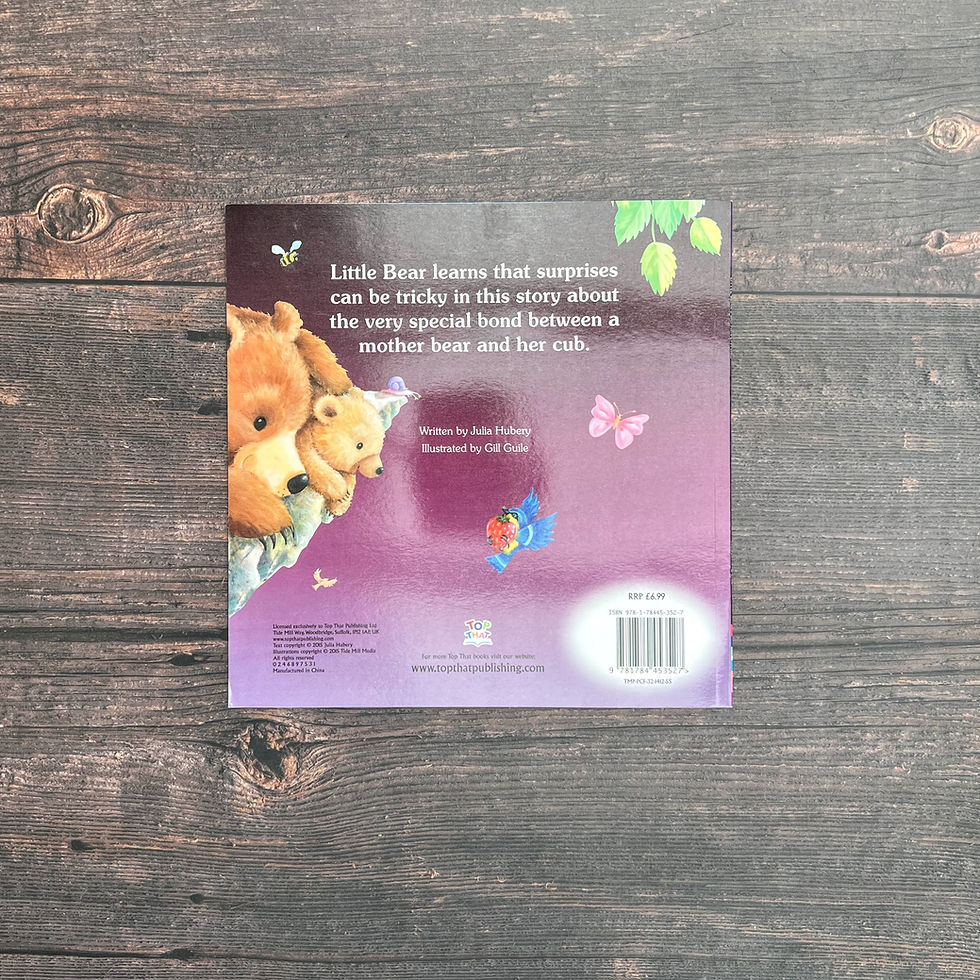 Thumbnail: Little Bear's Big Adventure - Julia Hubery