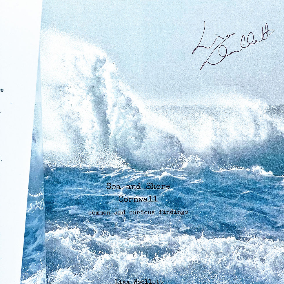 Thumbnail: Sea and Shore Cornwall - Lisa Woollett