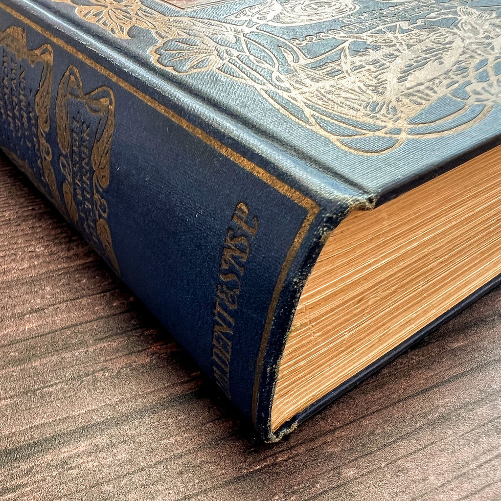 Thumbnail: The Open Air Nature Book