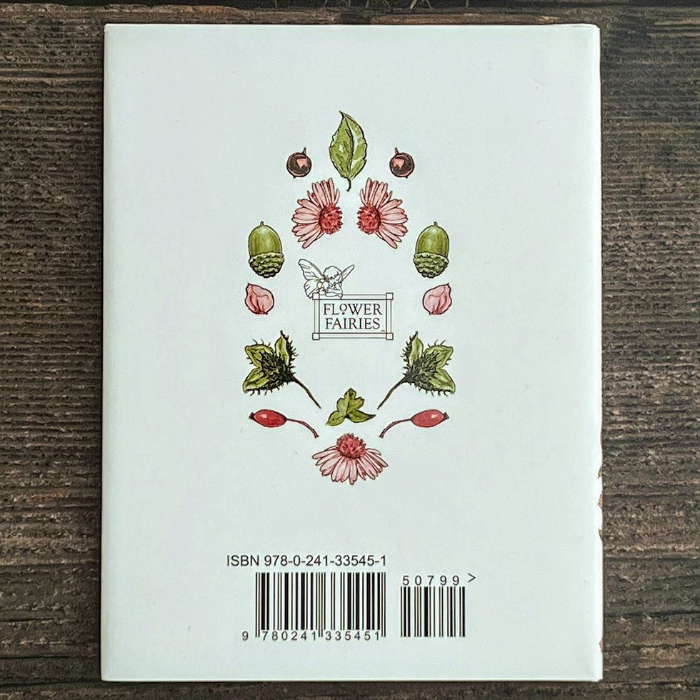 Thumbnail: Flower Fairies of the Autumn - Cicely Mary Barker