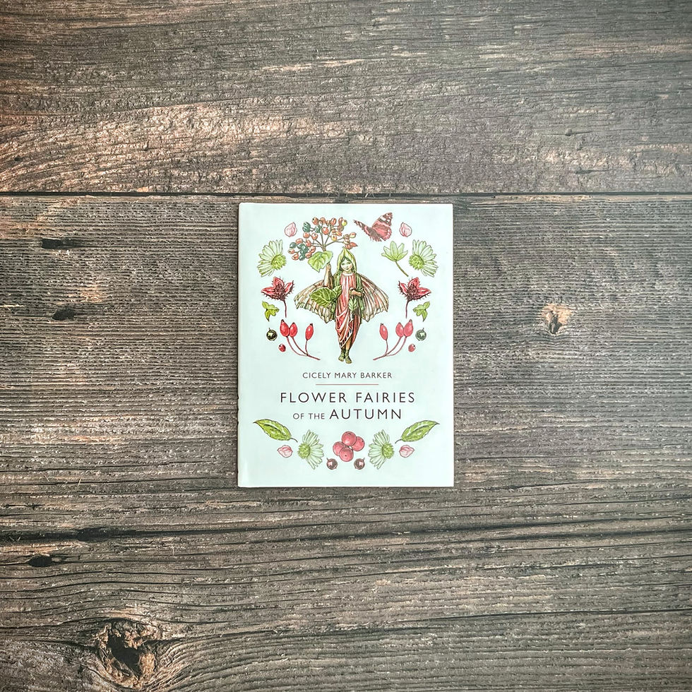 Thumbnail: Flower Fairies of the Autumn - Cicely Mary Barker