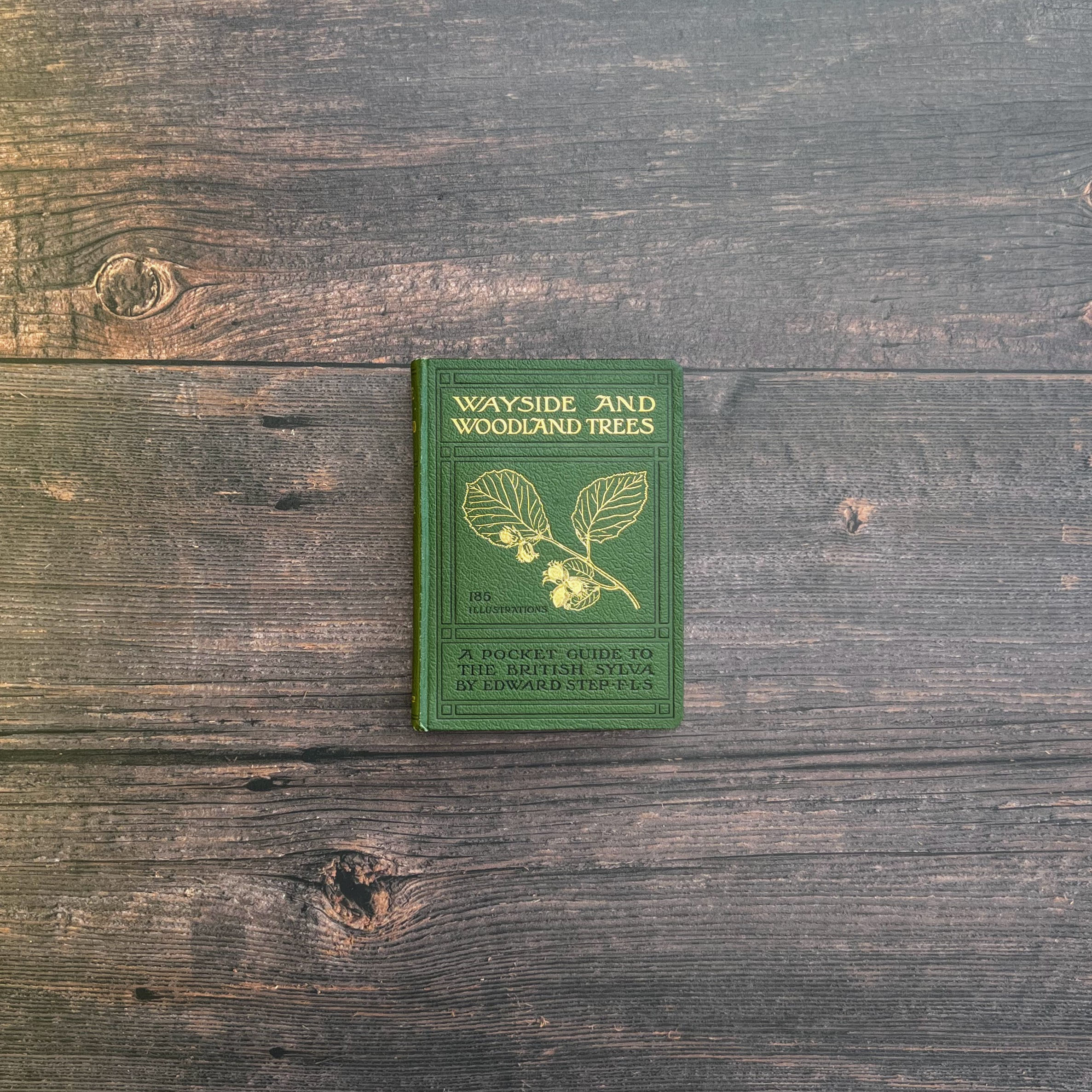 Wayside & Woodland Trees - Edward Step