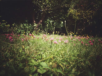 Untitled-1 - 30-01-2026 19-18-23.jpeg