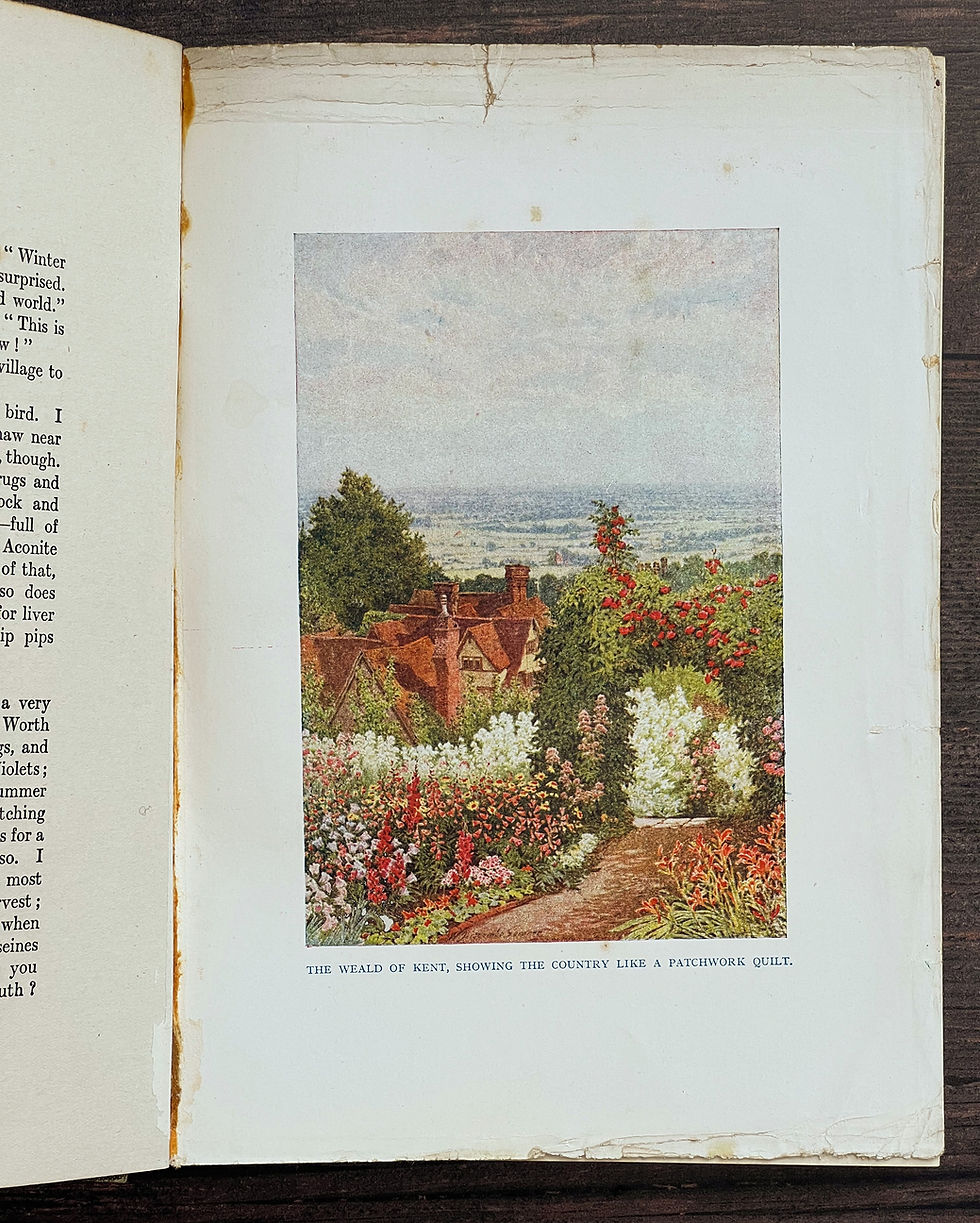 Thumbnail: The Charm of Gardens - Dion Clayton Calthrop