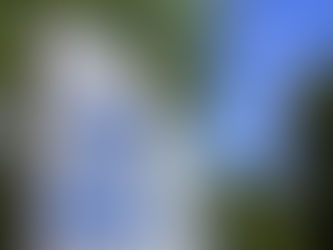 ONE HEALTH — Une seule santé, une seule planète, une responsabilité commune