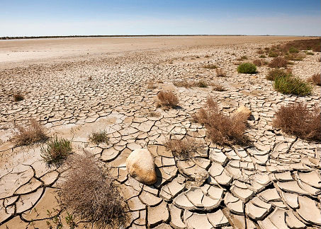 ADAPTATION AU CHANGEMENT CLIMATIQUE