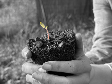 Mesurer l'impact sur la biodiversité : une nécessité pour nos organisations d'ici 10 ans