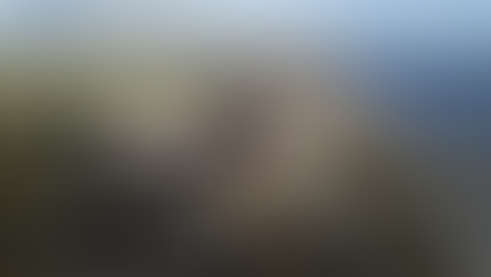 Flights Cancelled from Jamaican Airport After Hurricane Melissa