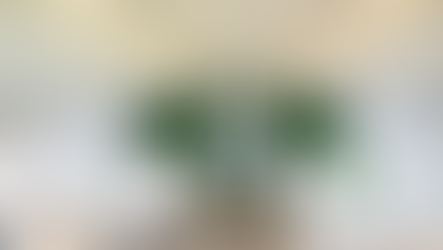 Retired Aircraft Turned into Luxury Stay