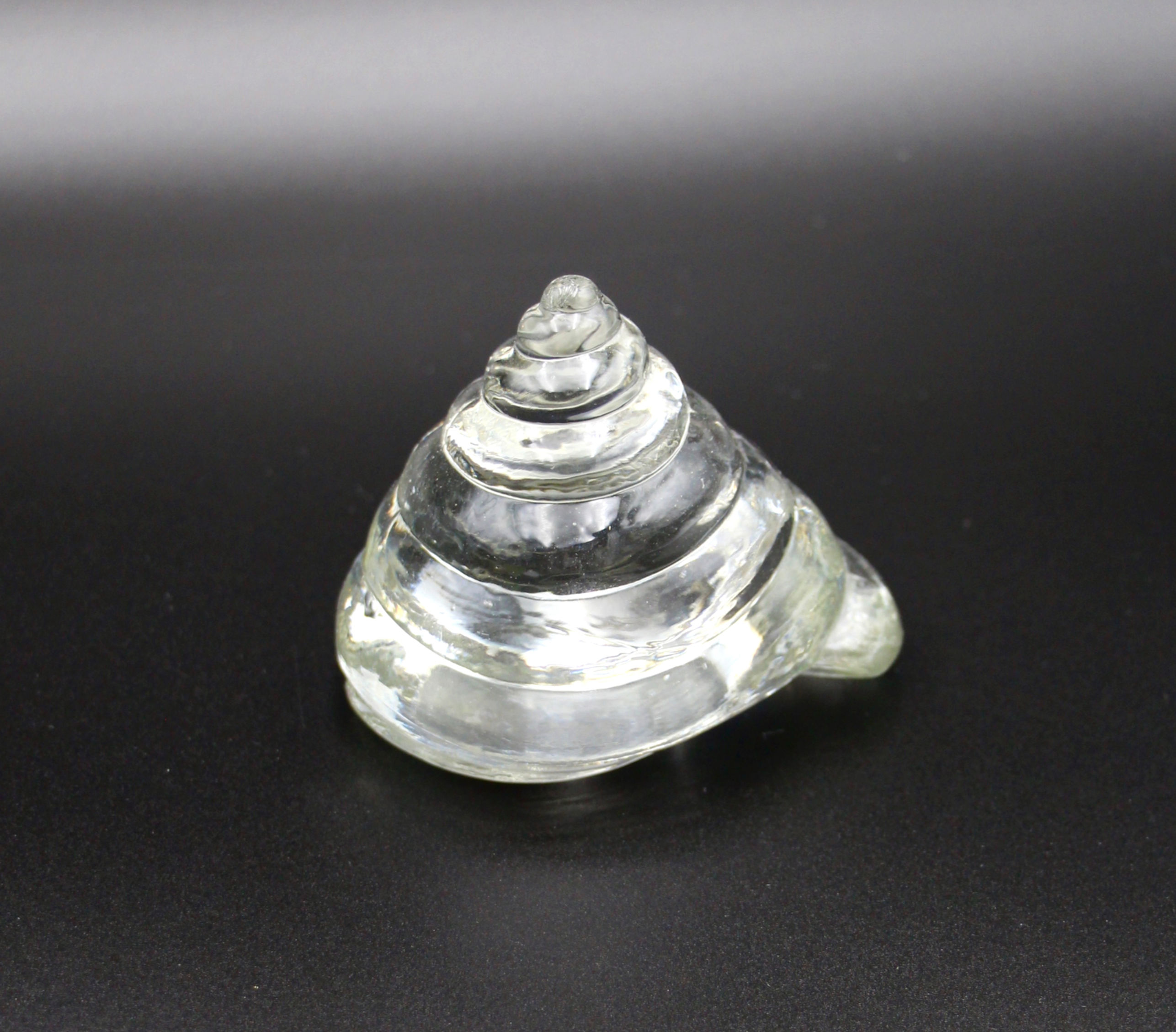 Clear Art Glass Seashell Paperweight