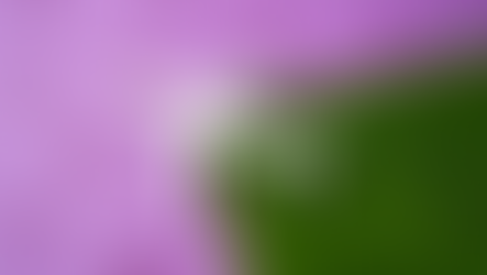 Aviation’s Future Is Closer Than We Think 