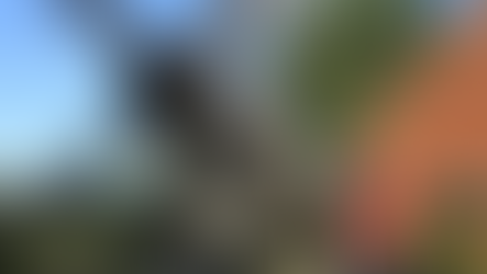 Aircraft Enthusiast Creates a Spitfire Replica in His Garden