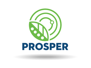 PROSPER Visual identity
