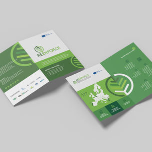 REENFORCE Leaflet