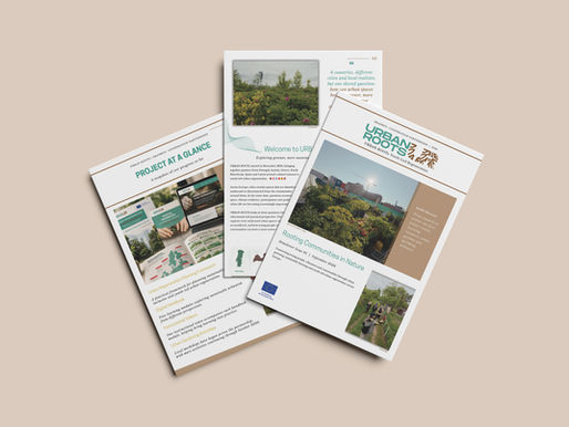 Newsletter Issue 1