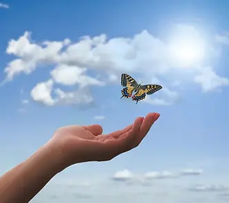 main ouverte vers le ciel libérant papillon