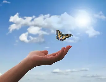 main ouverte vers ciel libérant papillon