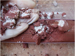 AmbSafety Eng. & Consultoria