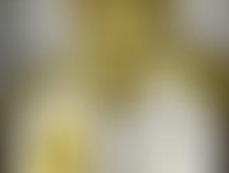 เหรียญนารายณ์จักร หลวงปู่ศิลา 2567