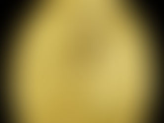 เหรียญพันพันล้าน หลวงปู่ศิลา 2566