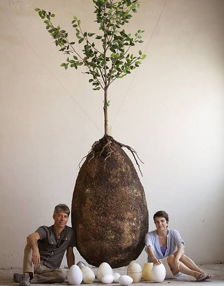 capsula mundi ingekort.jpg