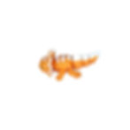 Thumbnail: Baby Candy - Small Axolotl