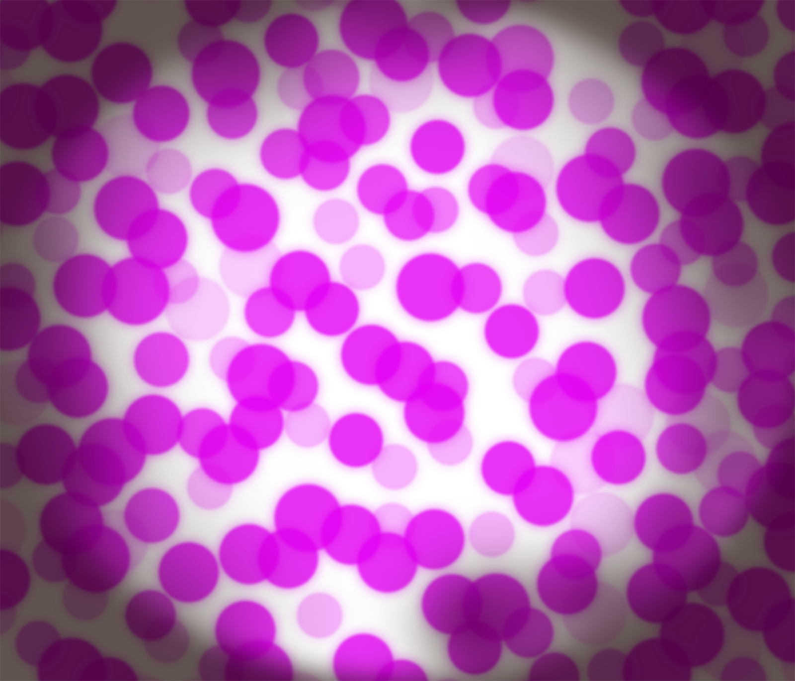 Immagine del redattore: Sharon Granucci