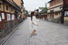 京都-早安，八坂神社＆花見小路