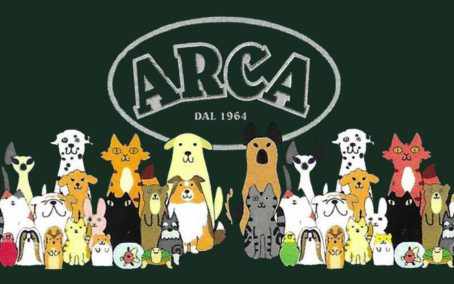 ⚠️‼️ NUOVO ABBONATO ‼️⚠️