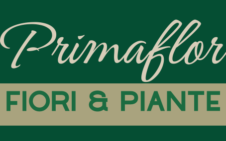 ⚠️‼️ NUOVO ABBONATO ‼️⚠️