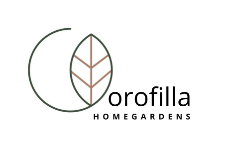 ⚠️‼️ NUOVO ABBONATO ‼️⚠️