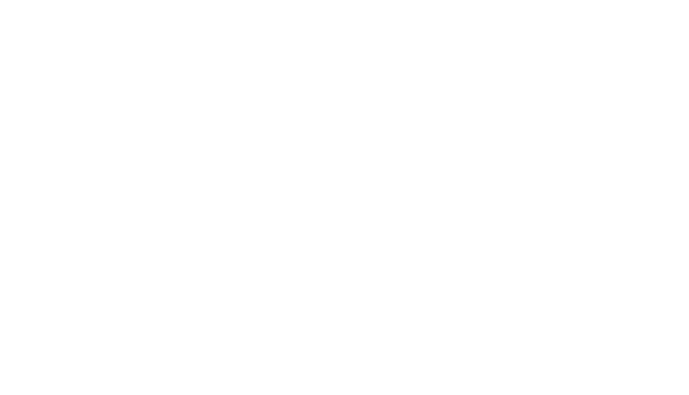White Turtle.png