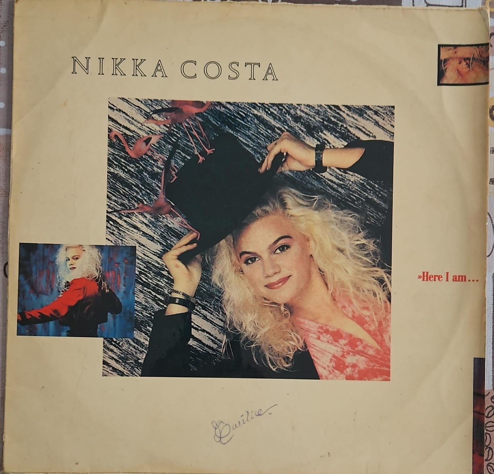 Nikka Costa ‎– Here I Am ... Yes, It's Me